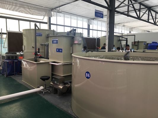 Self-clean RAS Rotary Drum Filter for Fish Farming and Tilapia/Eels/Catfish/Shrimp